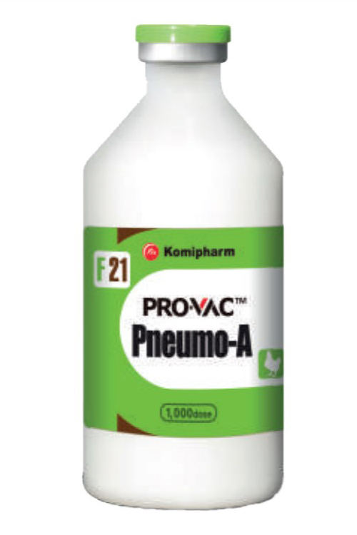 Вакцина Провак Pneumo-A